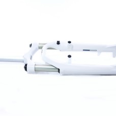 CHS021590